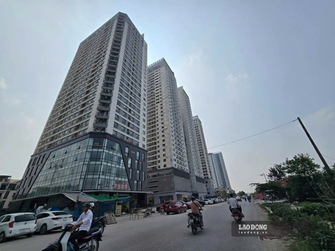 Chưa xuất hiện làn sóng bán xả, bán tháo hay cắt lỗ bất động sản