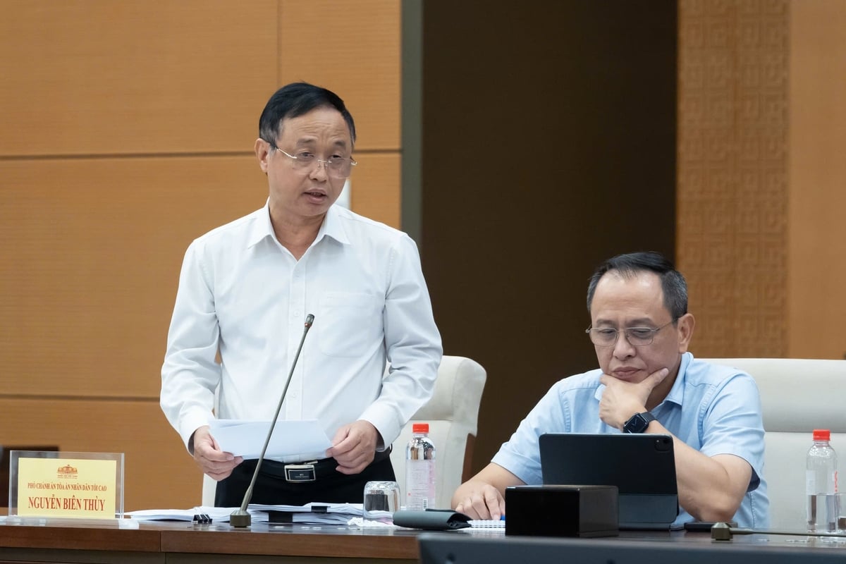 Phó Chánh án Tòa án nhân dân tối cao Nguyễn Biên Thùy phát biểu. Ảnh: Quochoi.vn.