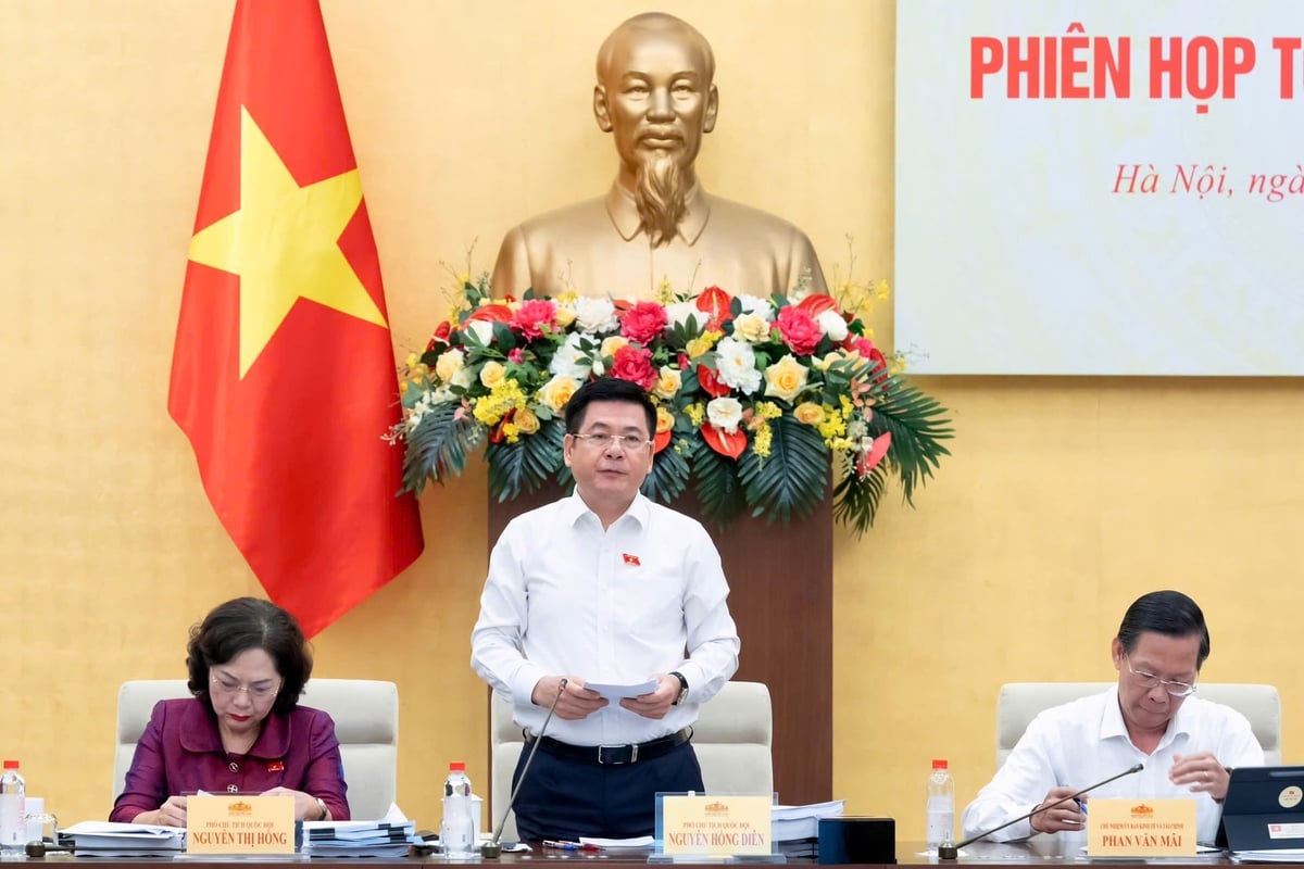 Phó Chủ tịch Quốc hội Nguyễn Hồng Diên phát biểu. Ảnh: Quochoi.vn.